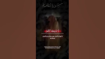تلاوة خاشعة ومؤثرة #اكسبلور #القرآن_الكريم #لايك #ترند #تيك_توك #ستوريات #القرآن