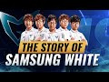 The ONLY Team Who PERFECTED League of Legends: The Story of Samsung White