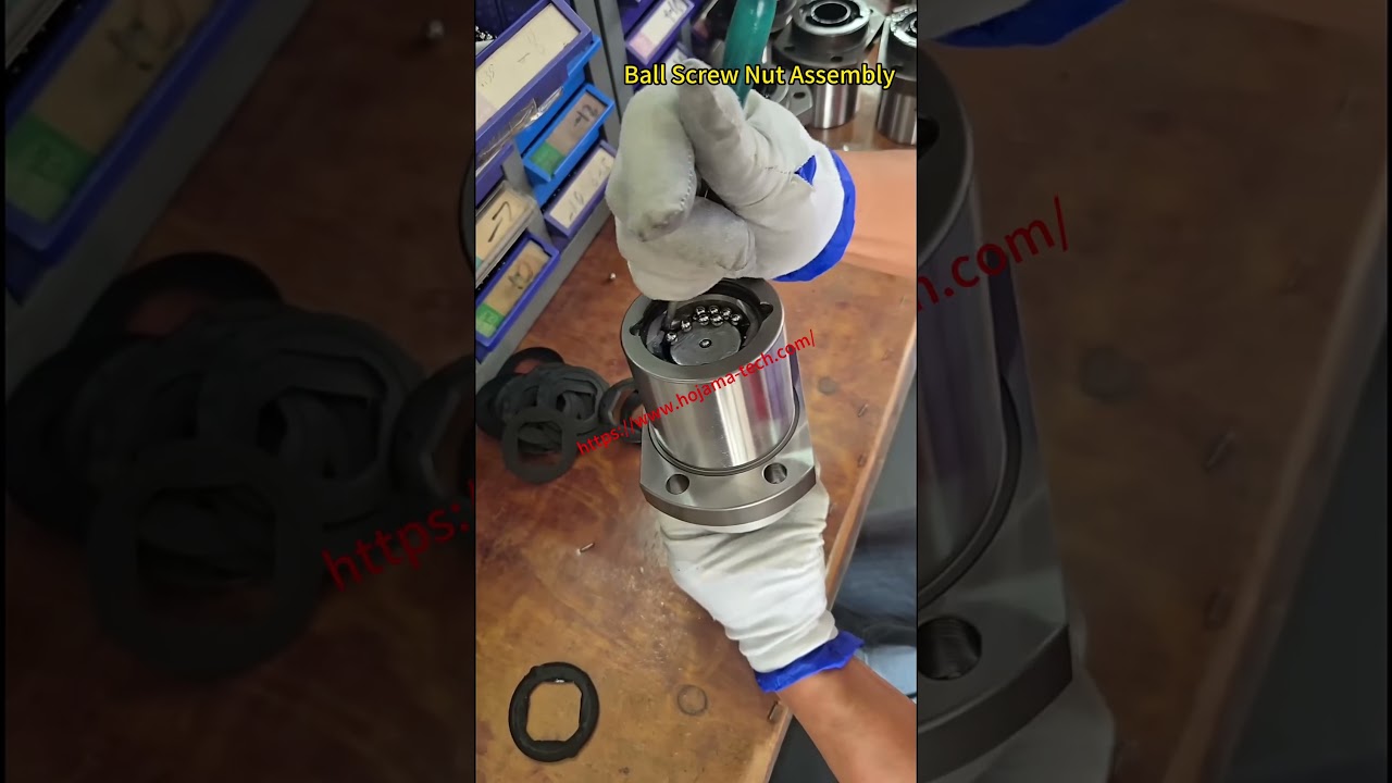 Ball Screw Nut Assembly