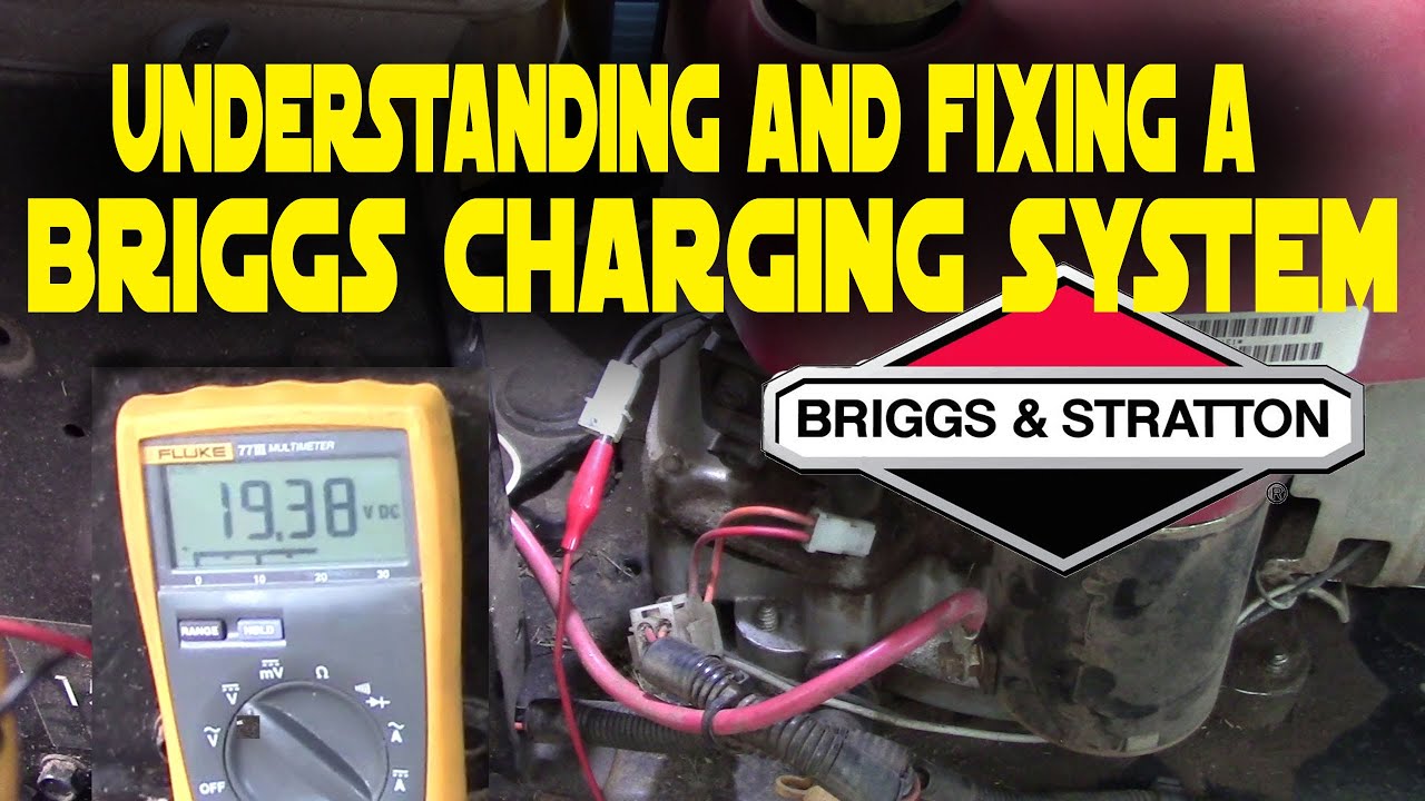 Fit Briggs Stratton Dual Circuit Alternator/Charging Stator 393474 592831 696459 