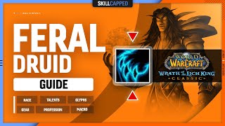 FERAL DRUID WOTLK GUIDE | Best Race, Talents, Glyphs, Gear, Professions \& Macros