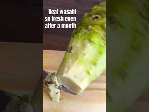 Real Wasabi Fresh For A Month Real Wasabi How To Store Wasabi For A Long Time