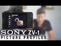 SONY ZV-1 How to Picture Profiles- Setup, Expose, Tested & Graded || WHAT'S YOUR FAVORITE?