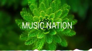 Download Lagu LiQWYD - Whenever MP3