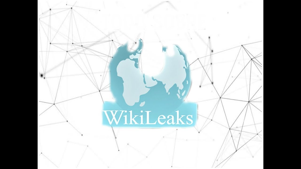 ¿Que es Wikileaks? | Adelfried Kholheim