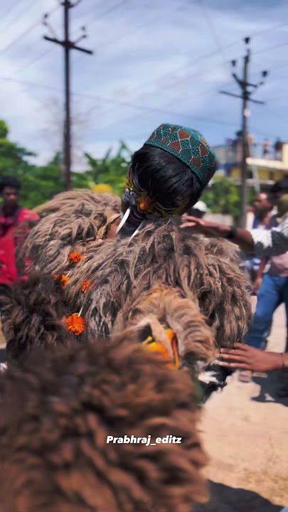 Sher Nacha Dongargarh 2k23🐯🔥|| Sawari Dhun || Dongargarh Mahol 😍||