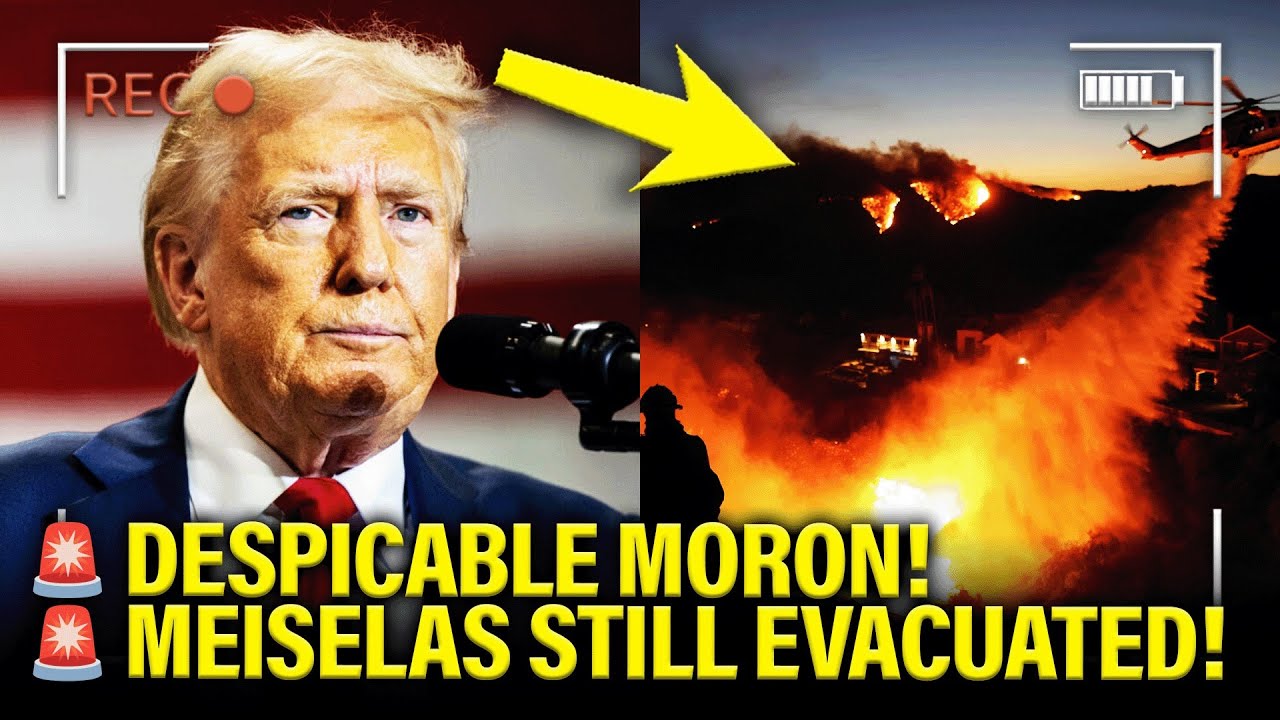 Trump ATTACK on LA Should be CRIMINAL…Ben EVAC Day 2