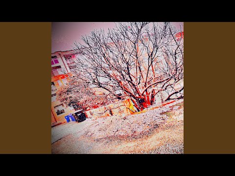 Can You See The Outline I Swear Its There