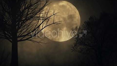 Spooky Moon Background | Motion Graphics - Envato elements