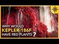 Why THIS Planet Would Have RED Plants