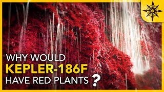 Why THIS Planet Would Have RED Plants