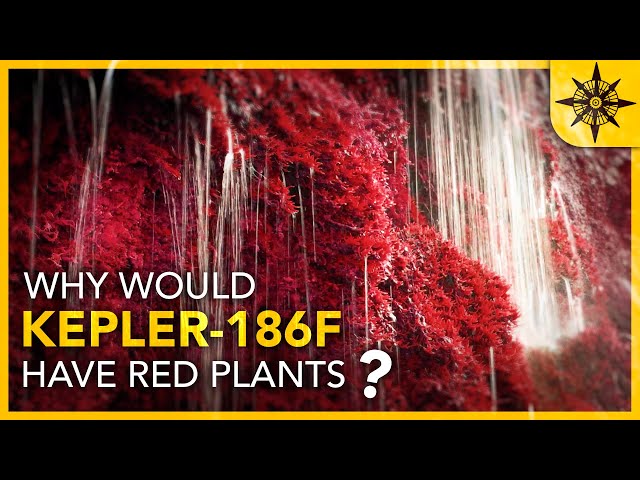 Why THIS Planet Would Have RED Plants - YouTube