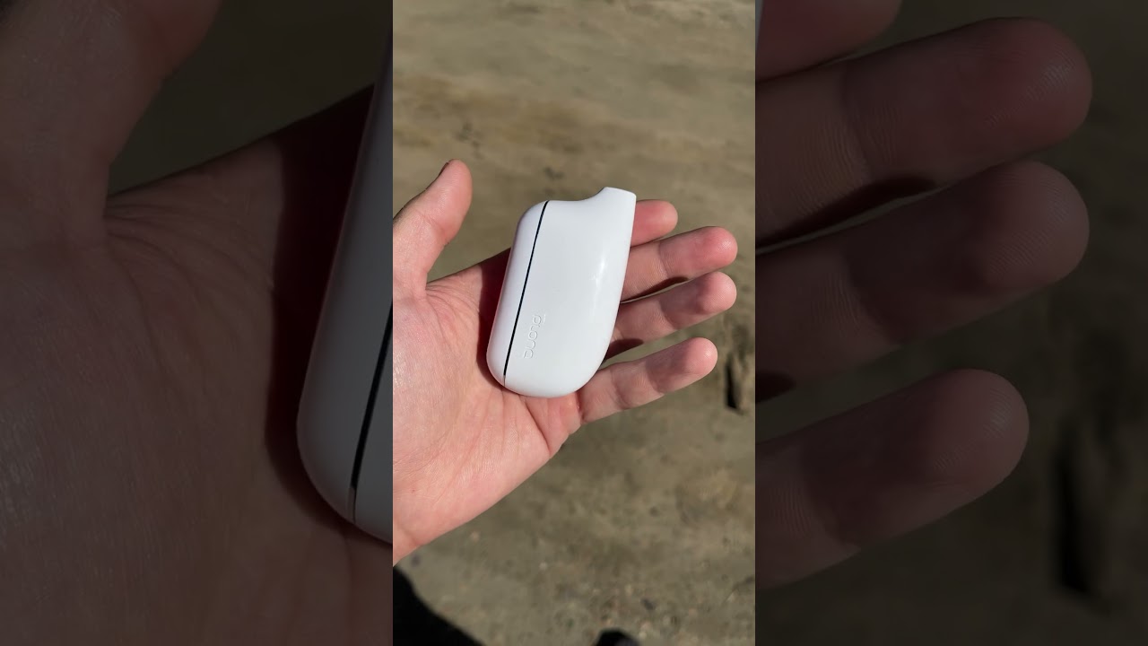 Plonq max. Premium. Ашка. 