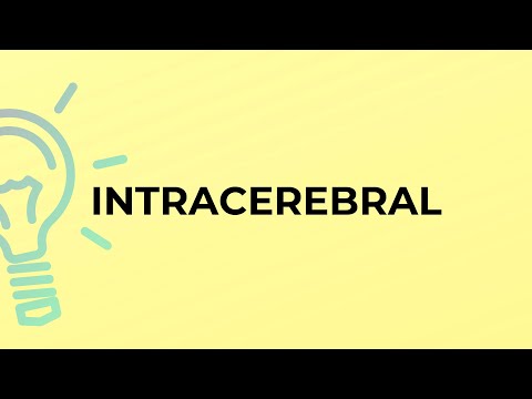 فيديو: Intracerebral معنى في اللغة الإنجليزية؟