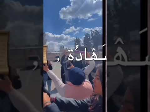 يلا علو الزغاريد توجيهي2005 توجيهي 2023 ناجح Shorts