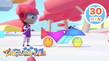 Tangranimals on the Go! | Chicky