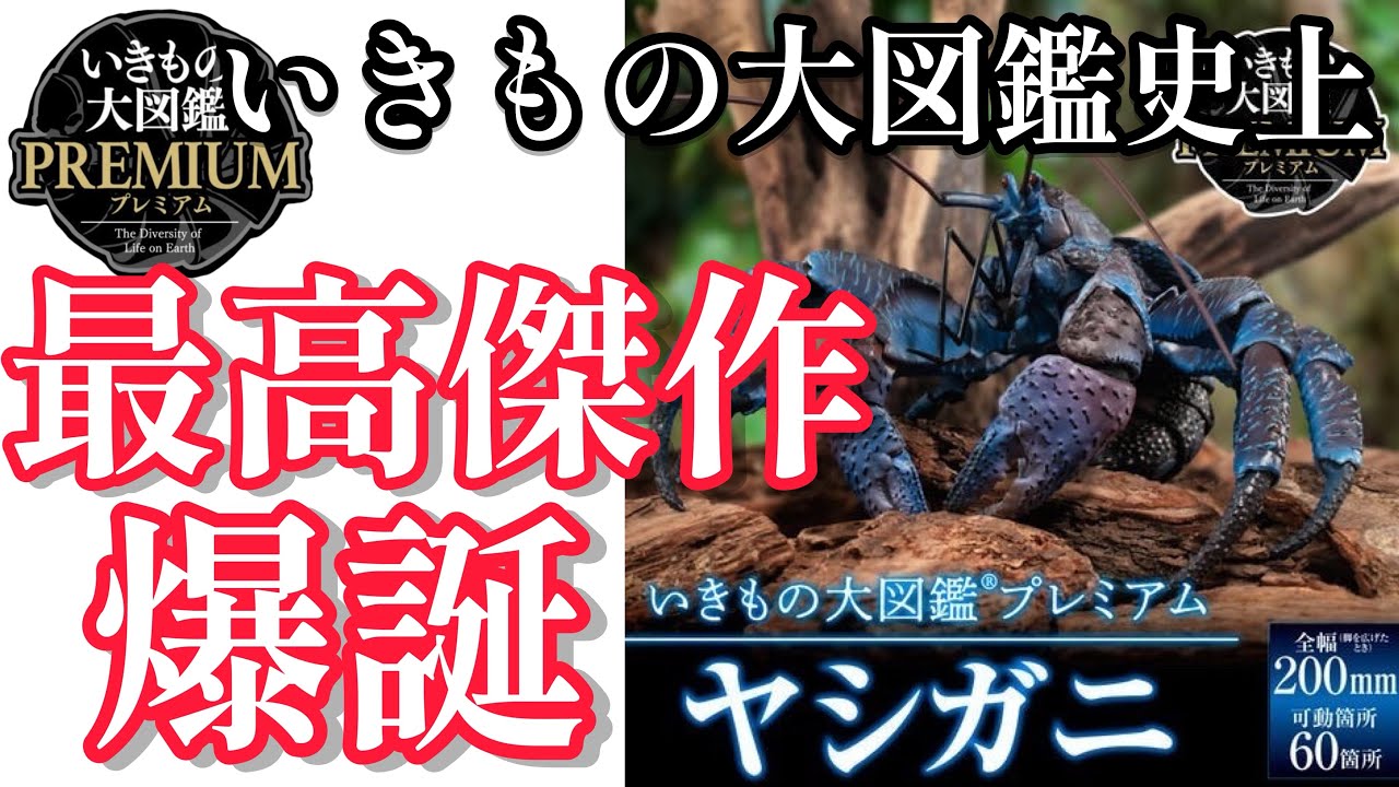 【いきもの大図鑑史上最高傑作】いきもの大図鑑プレミアム『ヤシガニ』【最新作】開封&レビューします！！【＠BANDAI】