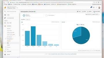 Navigating Google Analytics: Audience Report