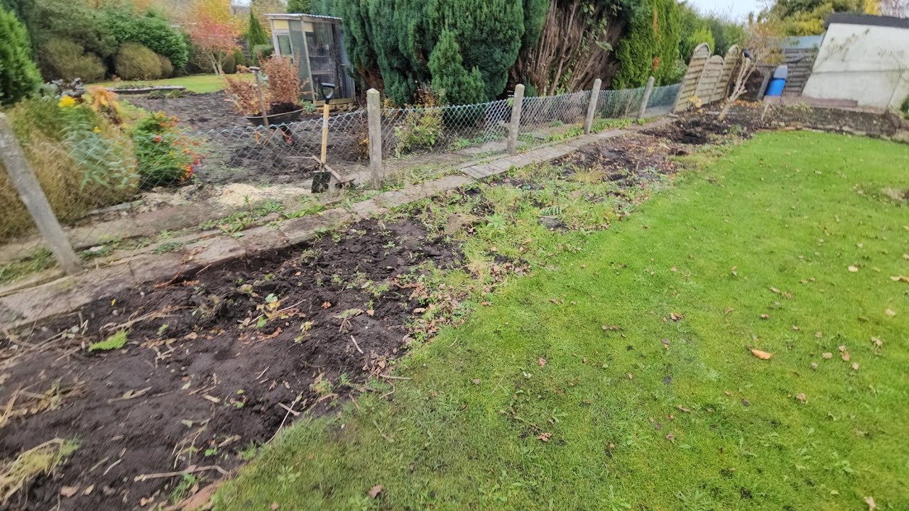 الجزء الأخير من تنظيف حديقة جيراني الألمان‼️رح ياخدوا الحديقة مني بسبب جهلي بالقانون😭