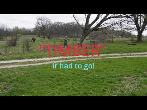 TIMBER!! At Jan's @SimplyJanHomestead #trees #tree #subscribe #timber #neighbors #friends #farming