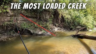 Ive Never Seen A Creek This Loaded With Fish - Underwater Footage (Surprise Catch x 2)