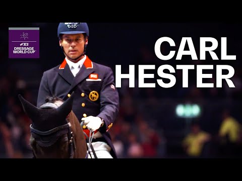 Video: Bør hester rides?