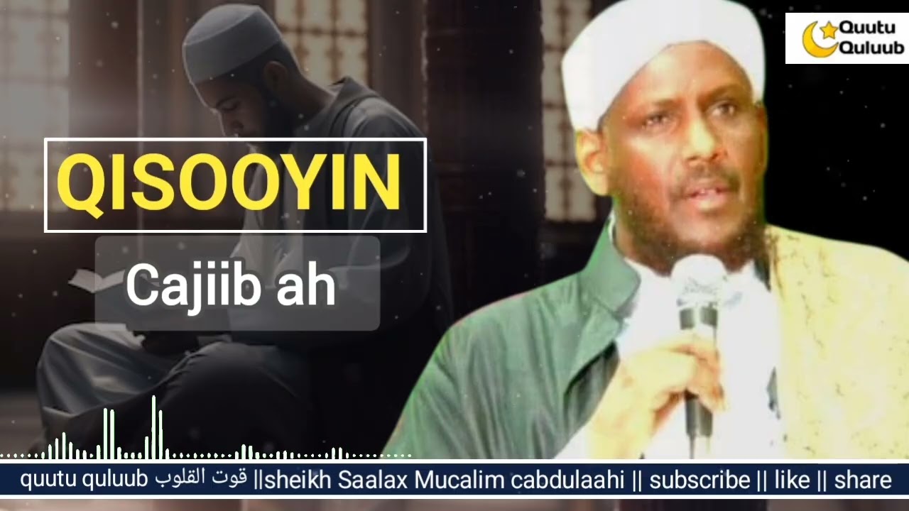 Qisooyin ku cibro qaadasho mudan || sheikh Saalax Mucalim cabdulaahi | Qisooyin cajiib ah 