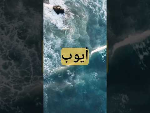 اسم زوجة النبي أيوب قصص قصة قصص واقعية قرآن قران كريم قطر قران قرآن كريم قرآن كريم ثقافة