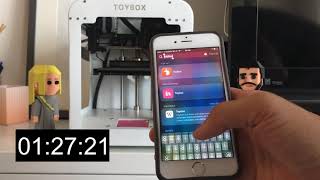 Setting Up a Toybox 3D Printer in Under FIVE Minutes! screenshot 2