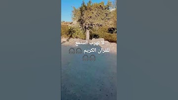 #القرآن_الكريم #الجزائر #تلاوة #المغرب #السعودية #القرآن #محمد_الفقيه #quran #اكسبلور #viral