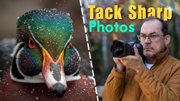 PHOTOS OUT OF FOCUS?  HERE