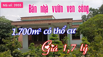 Bán nhà vườn ven sông 1.700m² có thổ cư, giá 1,7 tỷ ở Tiền Giang - MS 3955