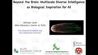 Beyond the brain: multiscale diverse intelligence as biological inspiration for AI