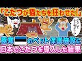 「こたつが猫たちを狂わせた!」極寒エストニアにあるペット保護施設に、日本のこたつを導入した結果…w【海外の反応】【ゆっくり解説】