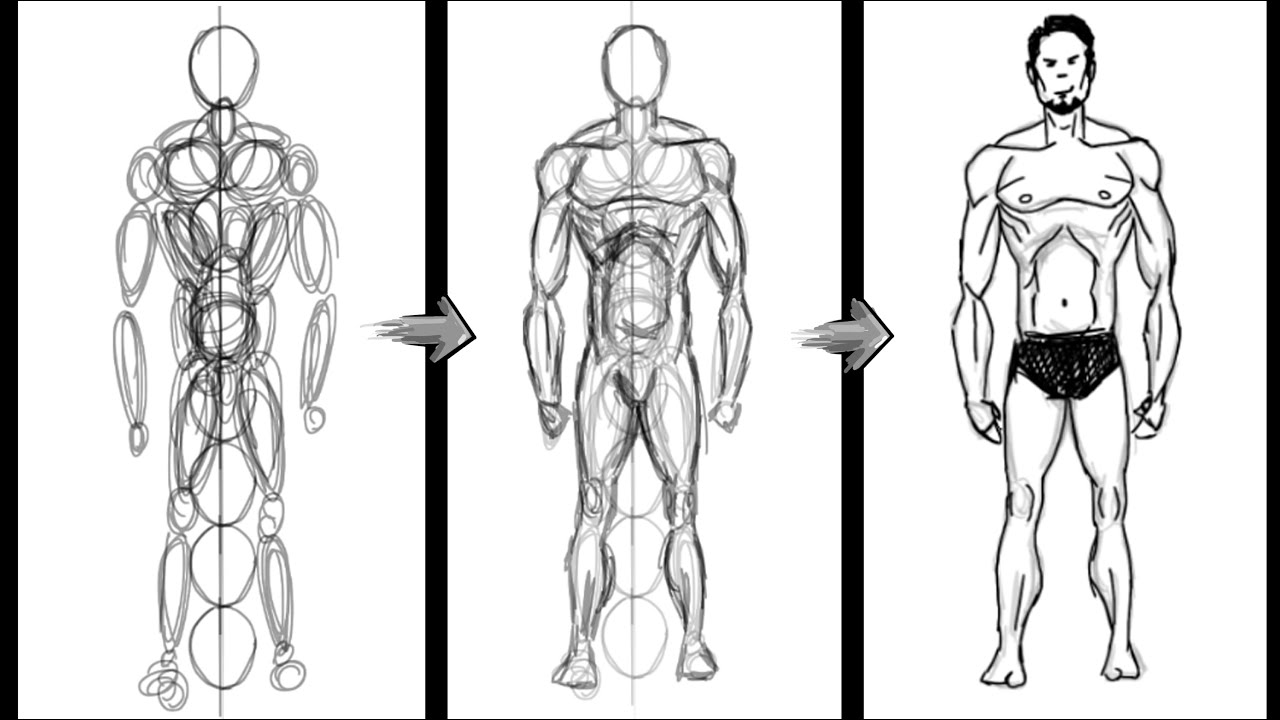 Human Anatomy Drawing For Beginners ~ Https://www.123rf.com/photo ...