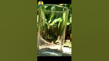 colour changing water experiment #SHORTS #SHORT_VIDEO #M4TECH #FISHING_FREAKS #E_BULL_JET