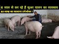 Suar Palan Se Kama Rahe Hai Lakho Ka Profit | Pig Farming | Suar Palan