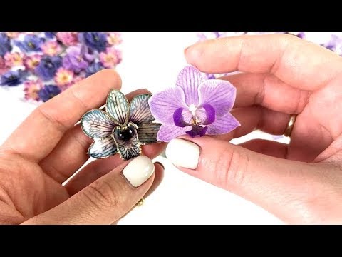 Video: Ako Sa Vyrábajú Sušené Kvety