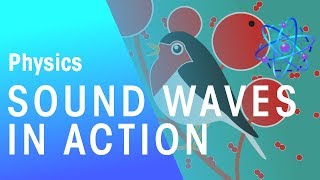 Sound Waves In Action | Waves | Physics | FuseSchool