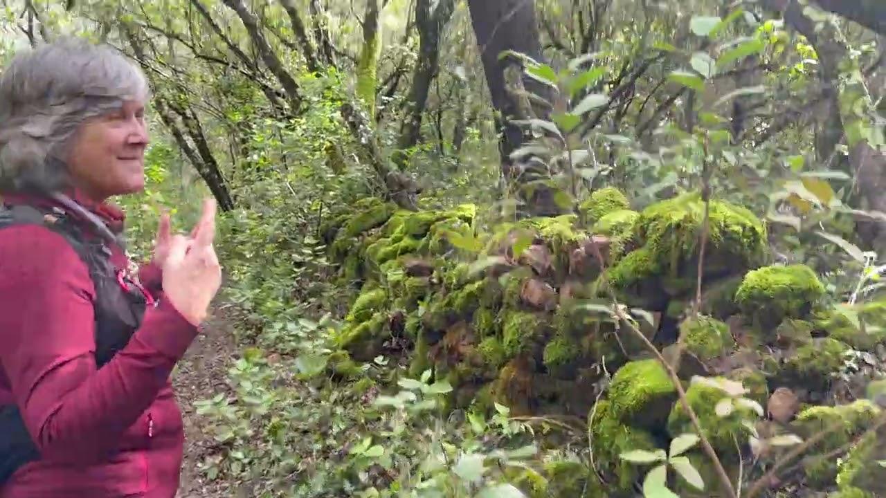 SIERRA DE ARACENA. AGUA Y VIDA. 2026