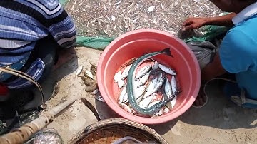 Toàn tập Kéo lưới trên biển của bà con ngư dân sáng 3/5/2016 - Sơn trà - Đà nẵng