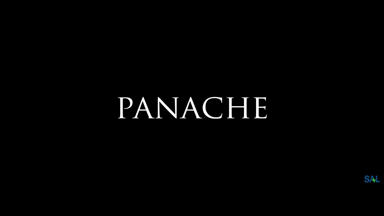 Teaser of SAL education's panache night 2K20