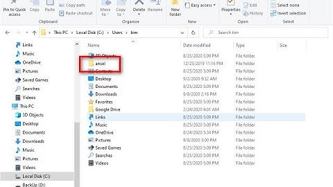 What is the NVIDIA Ansel Folder and Can You Delete it?