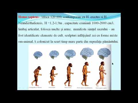 EVOLUTIA OMULUI - Lectii de biologie clasa a VIII-a