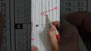 阿立539(2O26年6月3日)版路分享