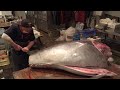 超巨大!およそ270kg【マグロ】解体!!