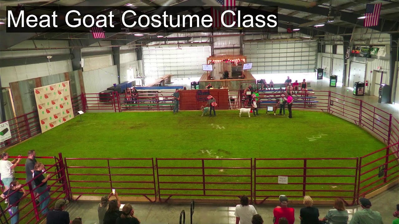 Washington County Goat Show