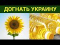 В России строят больше домов, чем при СССР / Догоняем Украину по подсолнечнику / Юрлиц всё меньше