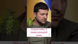 обнюханный Зеленский на фоне государственного флага Украины.