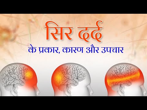 वीडियो: 17 पशु मेम केवल आलसी लोग समझेंगे